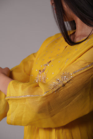 Zardosi & Sequins Suit
