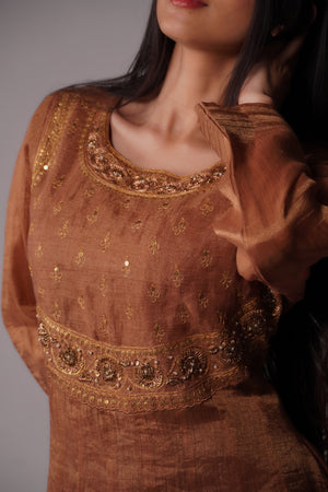 Marodi And Zardozi Anarkali