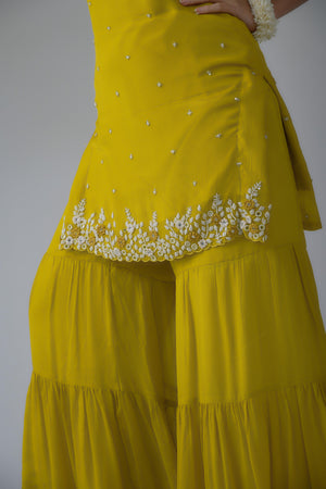 Hand-work sharara-kurta
