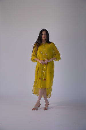 Multi Colour Beads Dress