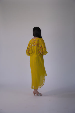 Multi Colour Beads Dress
