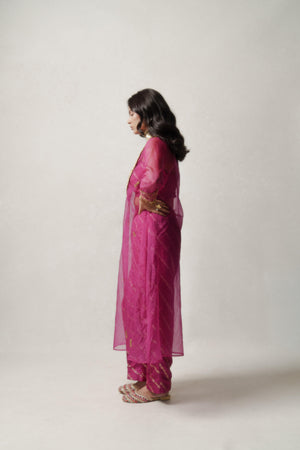 Pink Sheer Organza Set