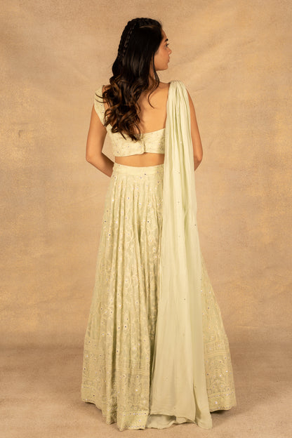 Mint Green Lehenga & Choli Set