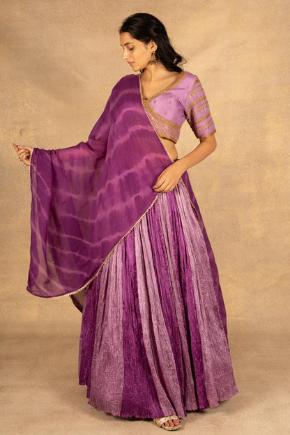 Purple Crush Lehenga & Choli