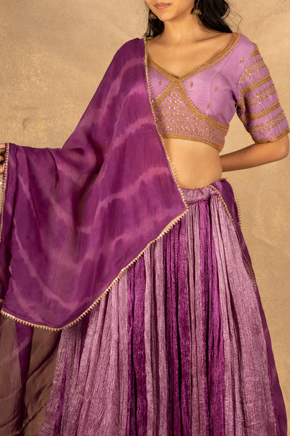 Purple Crush Lehenga & Choli